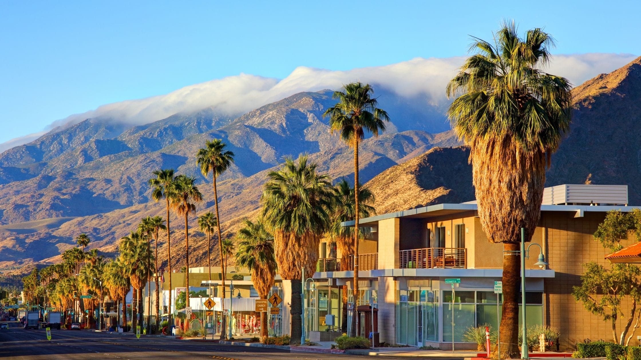Palm Springs downtown main street, featuring majestic palm trees with a backdrop of Mount San Jacinto, near the Casa Oliver Hotel & Resort.