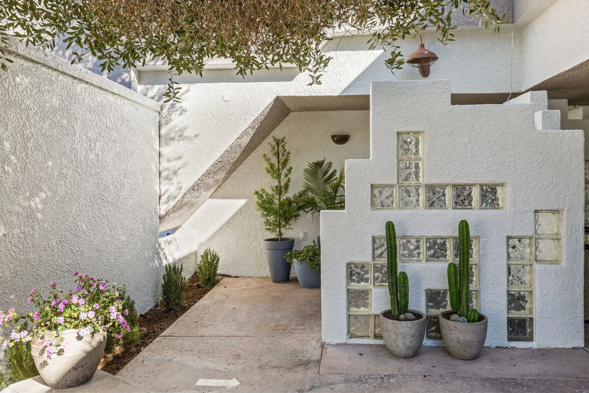 Casa Oliver Hotel & Resort features a stunning garden adorned with olive trees, cacti, and vibrant desert blooms.