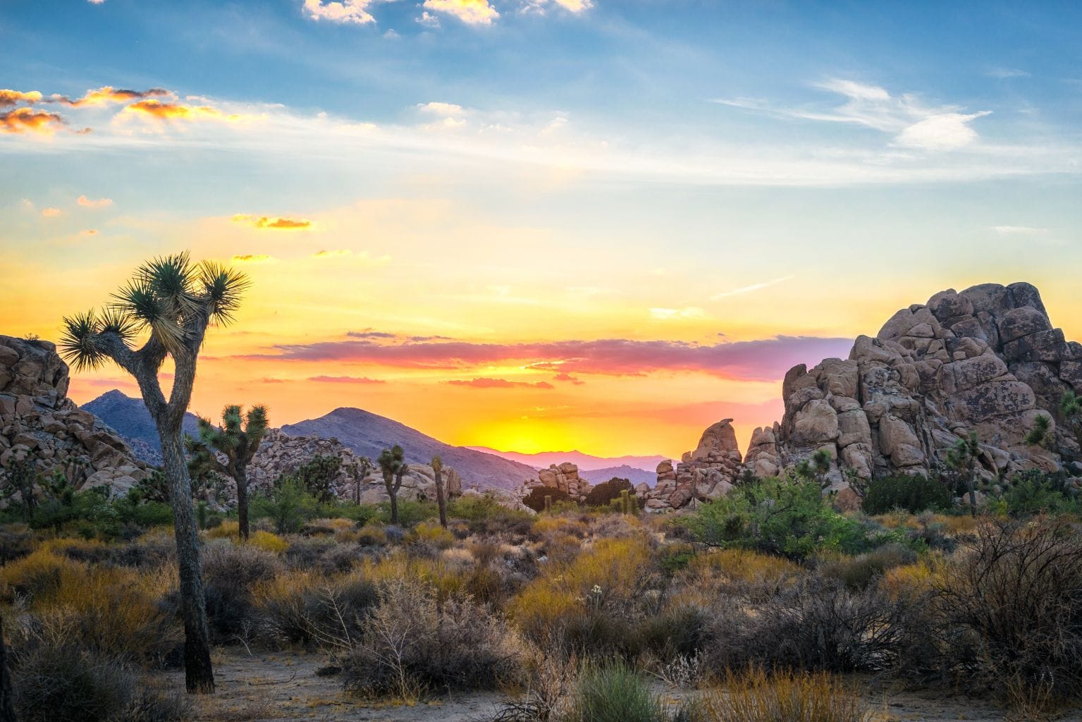 An image of Joshua Tree National Park, capturing majestic rock formations and a Joshua Tree at sunset. The scene is located an hour drive from Casa Oliver Hotel & Resort in Palm Springs.